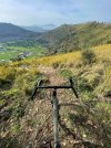 IMG-20201220-WA0035.jpg