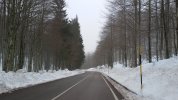 20201220_141028.jpg