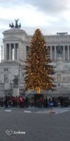 P_20201219_160817_p.jpg