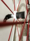 IMG_20201128_120028.jpg