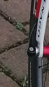 orecchia.png