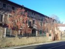 20201226_150111.jpg