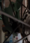 1609051046432.png 1609051046432.png
