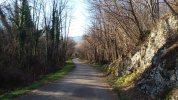 20201227_125132.jpg