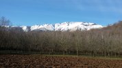 20201227_124530.jpg