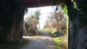 20201227_123940.jpg