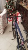 20201222_185331.jpg