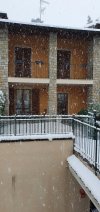 20201228_102158.jpg