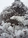 20201228_112422.jpg