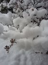 20201228_112400.jpg