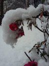 20201228_112132.jpg
