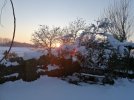 IMG_20201228_163019.jpg