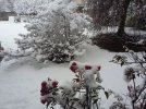 20201228_111630.jpg