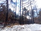 IMG-20210106-WA0011.jpg