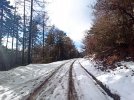IMG-20210106-WA0015.jpg