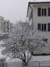 20210115_094018.jpg