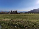 IMG_20210116_135306.jpg
