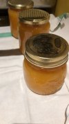 marmellata di arance.jpeg