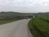 03042010346.jpg