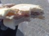 10042010357.jpg