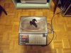 DSCF1439.jpg