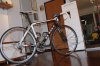 DSC01575.jpg
