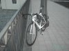 PICT0304.jpg
