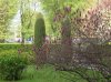 foto0 012.jpg
