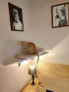 IMG20210120180049.jpg