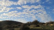 IMG_5748.JPG