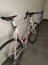 BDC telaio olmo deep nuovo gruppo campagnolo daytona
