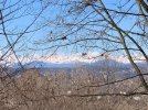 IMG-20210124-WA0003.jpg