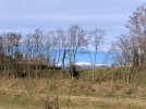 IMG-20210124-WA0001.jpg