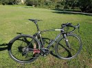 Olmo 38mm.jpg