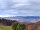 IMG_20210130_111229-01.jpeg