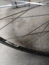 IMG_20201127_093945.jpg