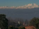 IMG_20210131_105204.jpg