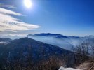IMG_20210131_140825-01.jpeg