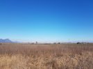 20210131_122232.jpg