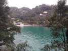 IMG_20210206_105730-01.jpeg