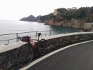 IMG_20210206_110101-01.jpeg