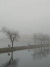 IMG_20210206_100904.jpg