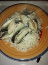 IMG_20210212_202640.jpg