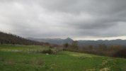 IMG_5853.JPG