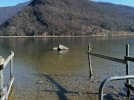 IMG_20210214_120348.jpg