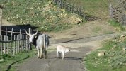 IMG_5879.JPG
