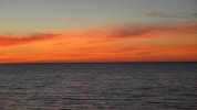 IMG_5950.JPG