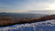 20210220_080401.jpg