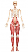 Image 1.png Image 1.png