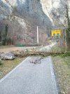 IMG_20210220_161329.jpg